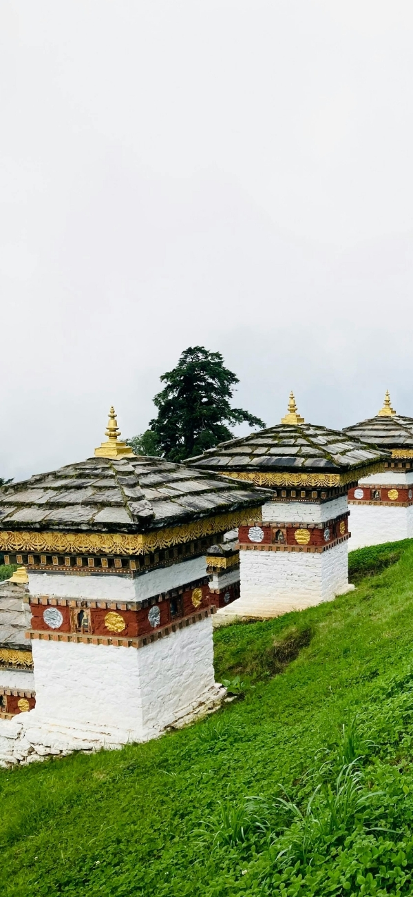 TRAVEL (3)