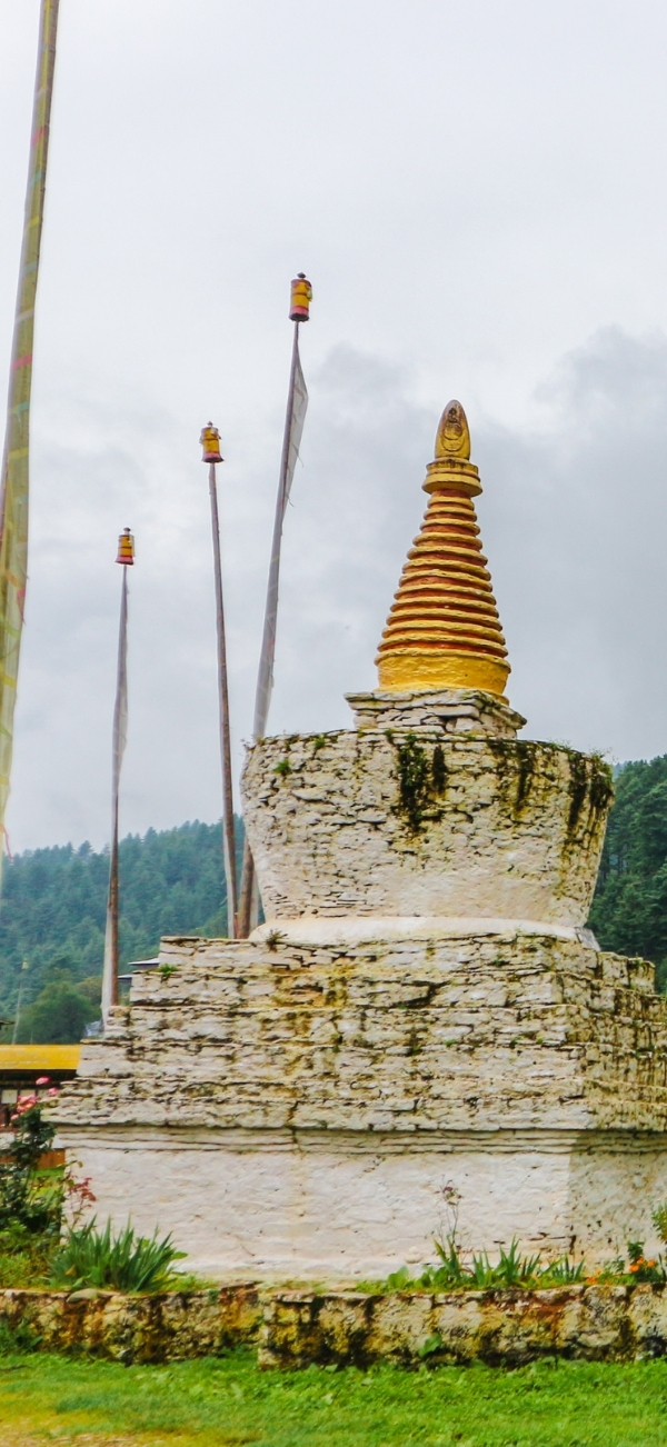 TRAVEL (4)